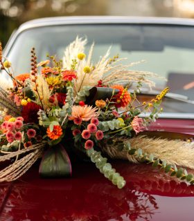 a6648b57-f9d1-43d8-bbf2-b7d805e0c3fb (3)